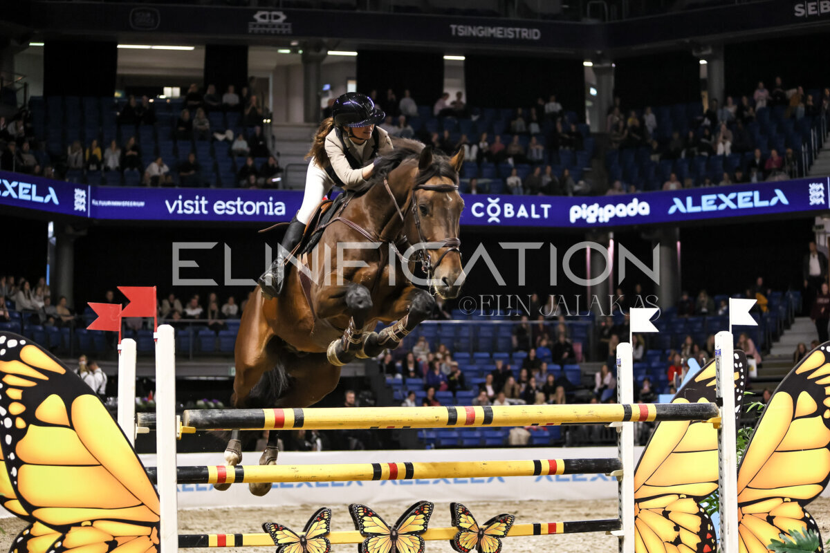 TIHS_2026_Prix-de-Cobalt_027