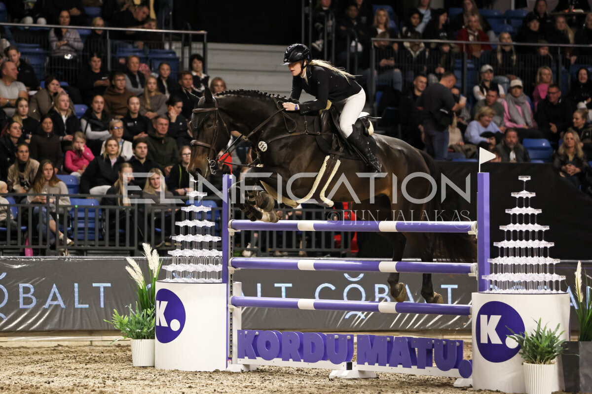 TIHS_2026_Prix-de-Cobalt_239