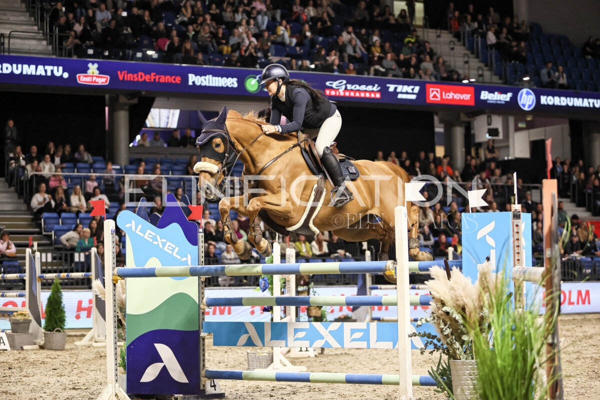 TIHS_2026_Prix-de-Holm_054