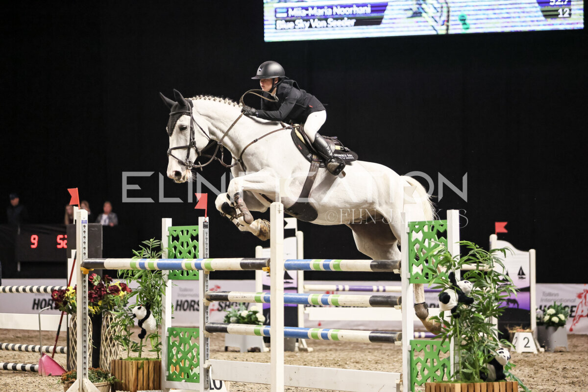 TIHS_2026_Prix-de-Holm_084