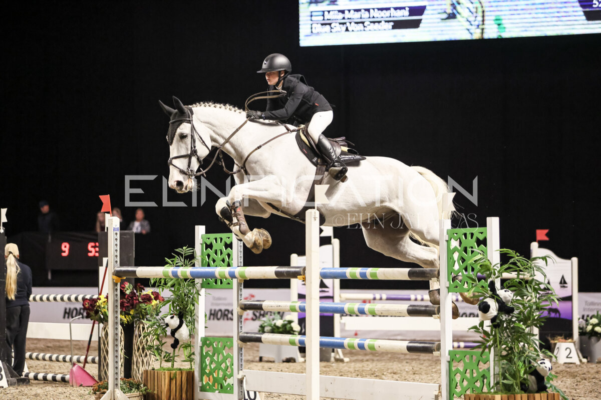 TIHS_2026_Prix-de-Holm_085