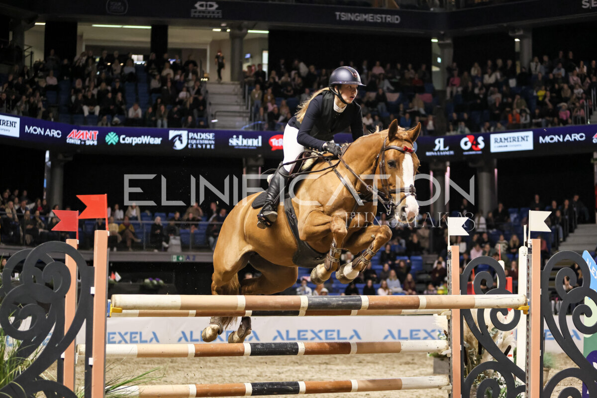 TIHS_2026_Prix-de-Holm_123