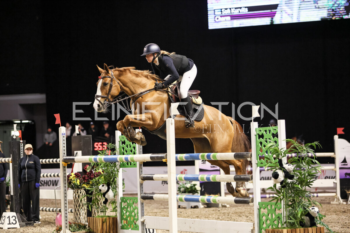 TIHS_2026_Prix-de-Holm_128