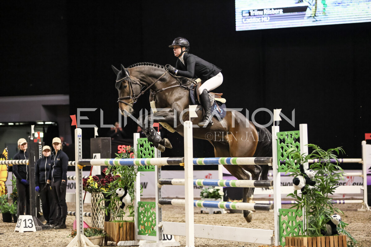 TIHS_2026_Prix-de-Holm_169