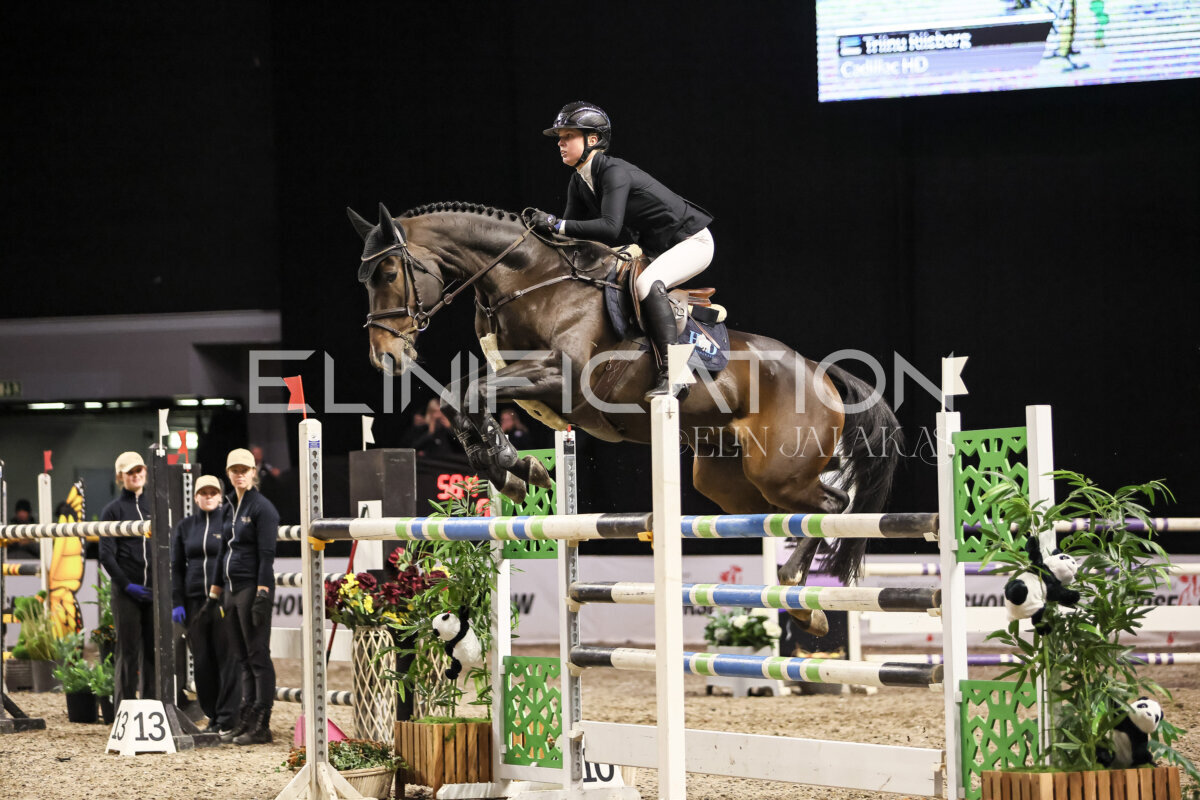 TIHS_2026_Prix-de-Holm_170