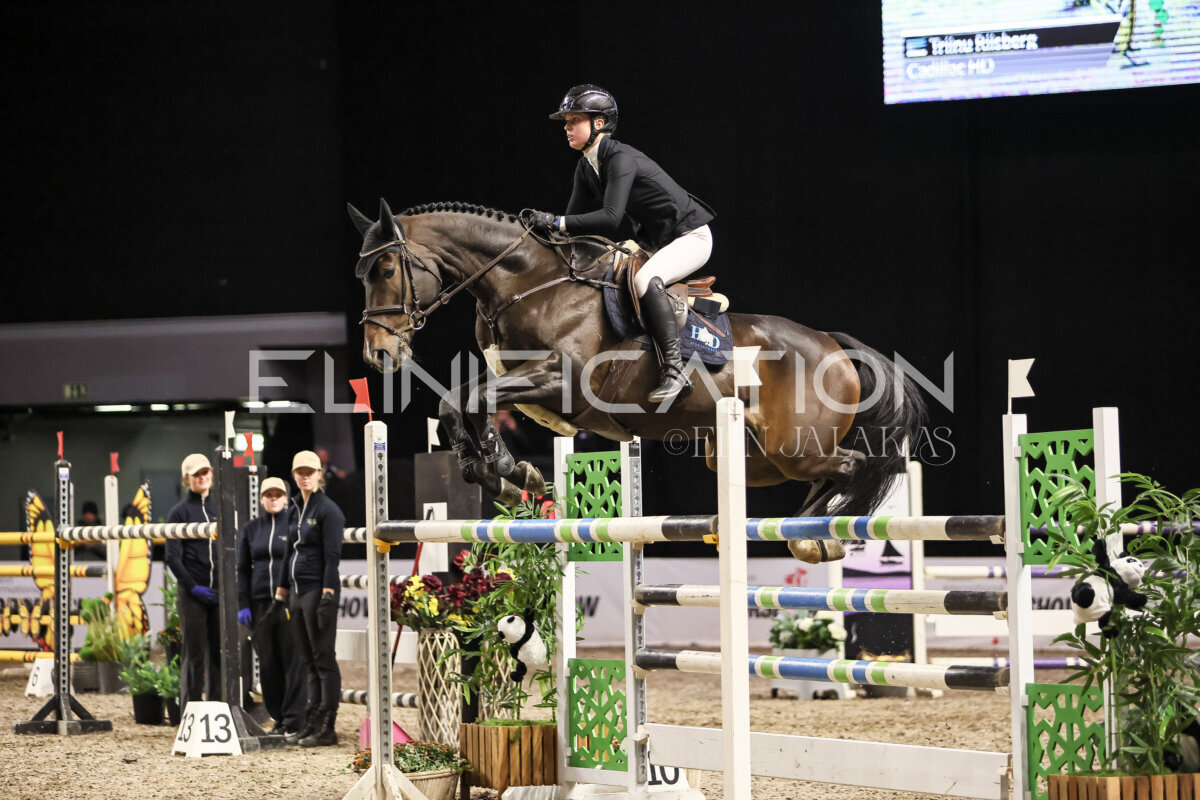 TIHS_2026_Prix-de-Holm_171