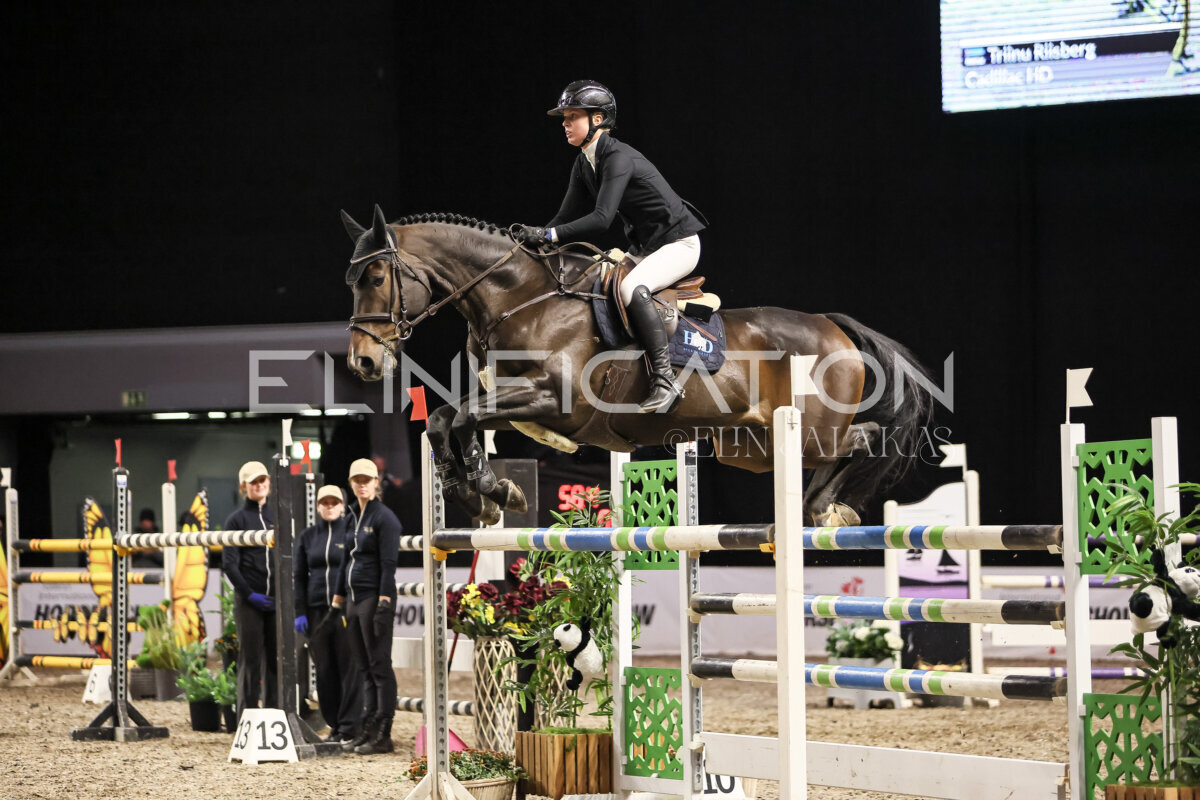 TIHS_2026_Prix-de-Holm_172