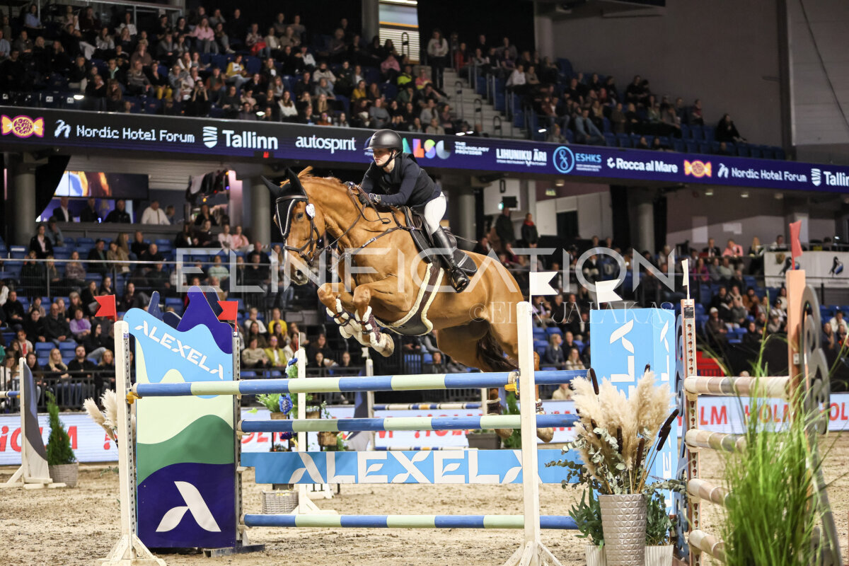 TIHS_2026_Prix-de-Holm_188