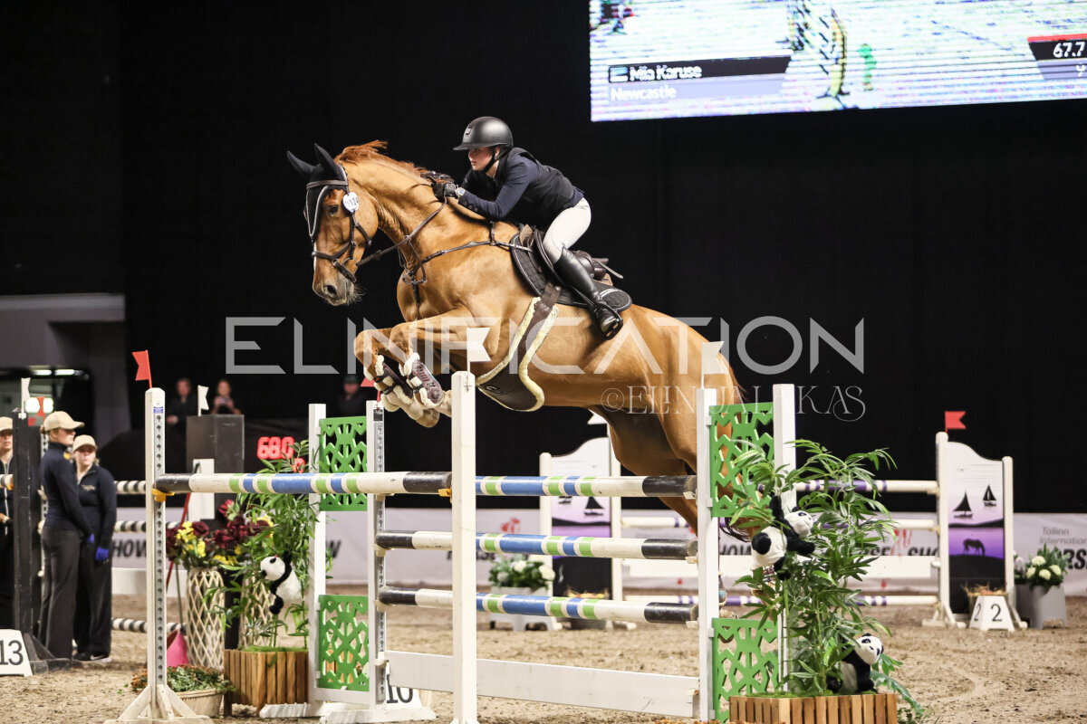 TIHS_2026_Prix-de-Holm_193
