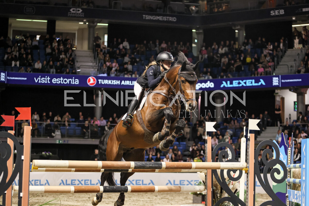 TIHS_2026_Prix-de-Holm_217