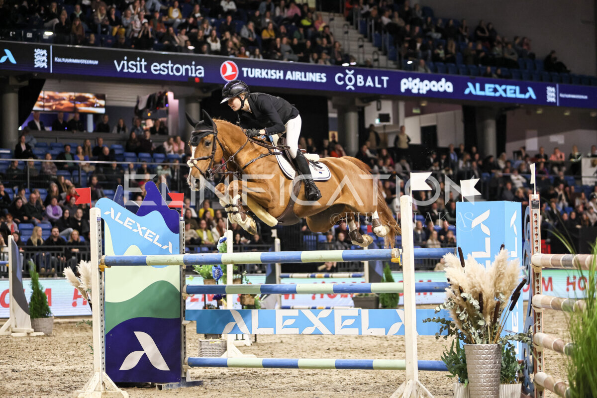 TIHS_2026_Prix-de-Holm_295
