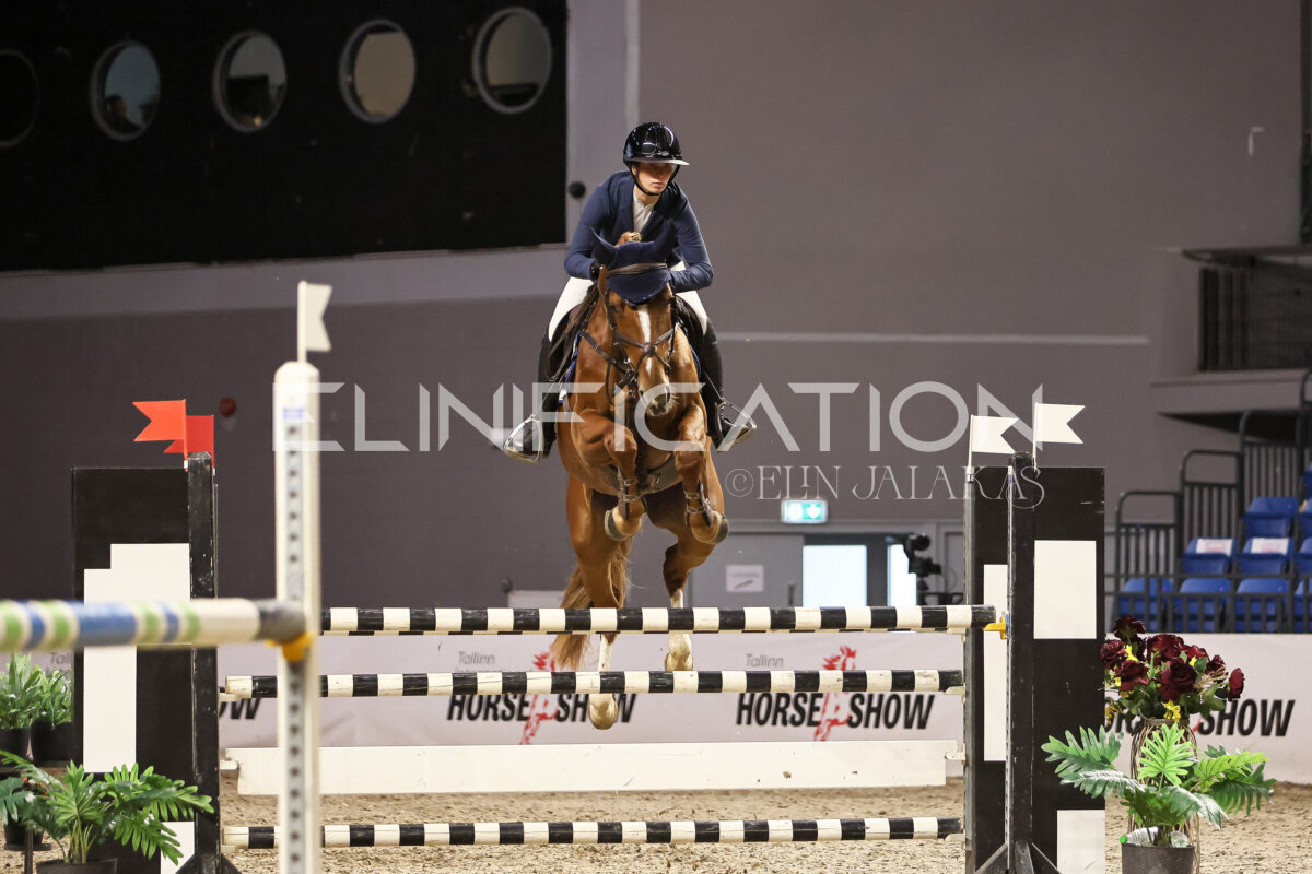 TIHS_2026_Prix-de-Kordumatu_010