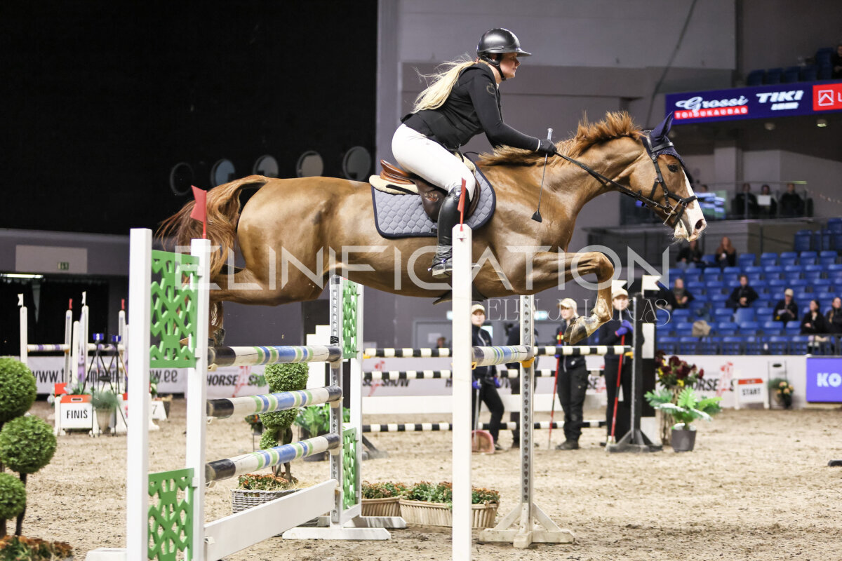 TIHS_2026_Prix-de-Kordumatu_039