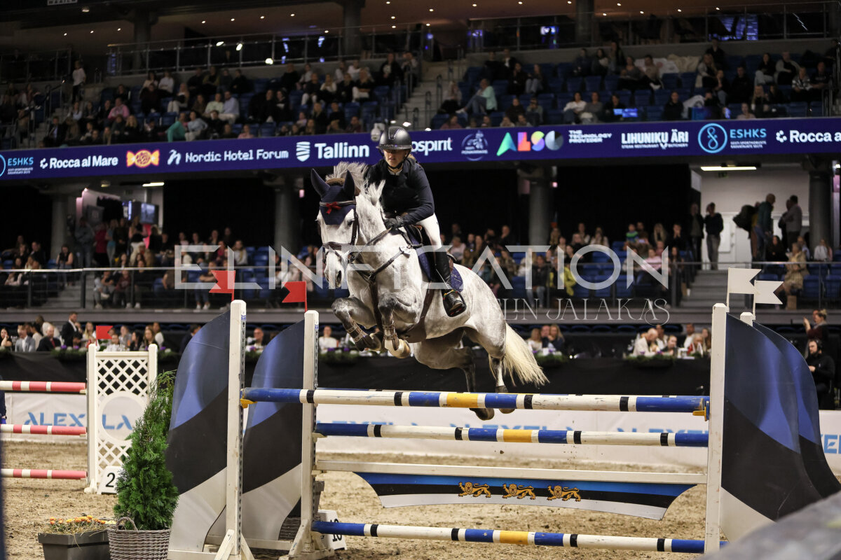 TIHS_2026_Prix-de-Kordumatu_083