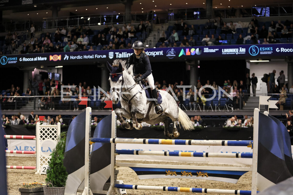 TIHS_2026_Prix-de-Kordumatu_084