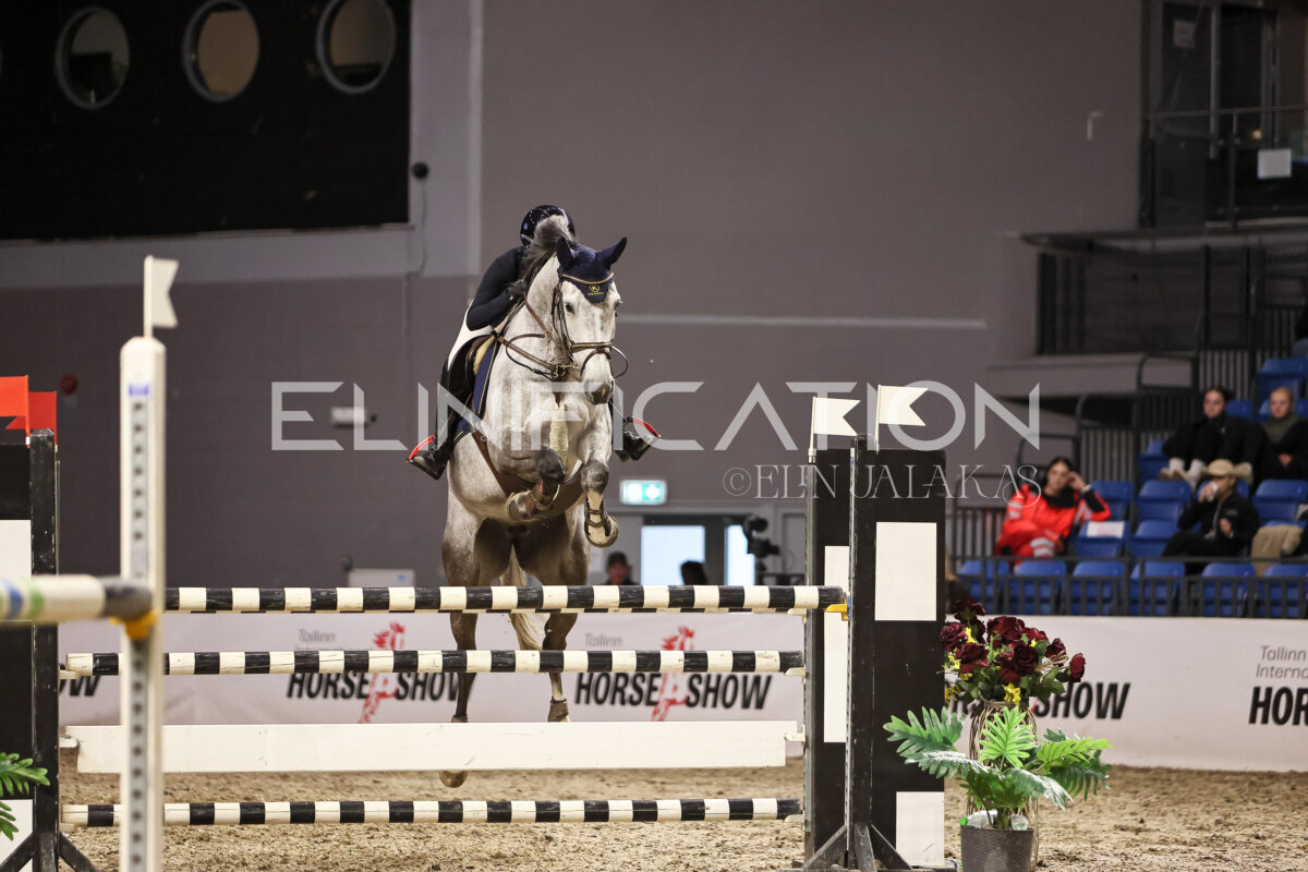 TIHS_2026_Prix-de-Kordumatu_129