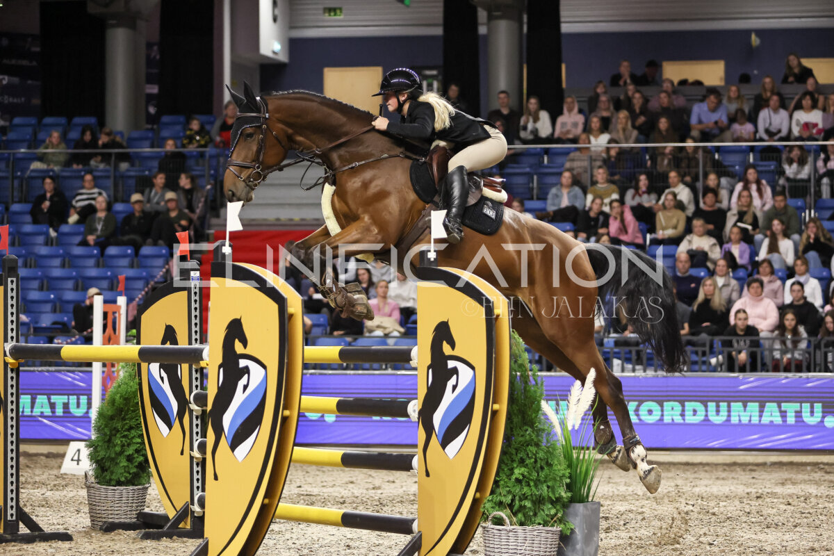 TIHS_2026_Prix-de-Kordumatu_203