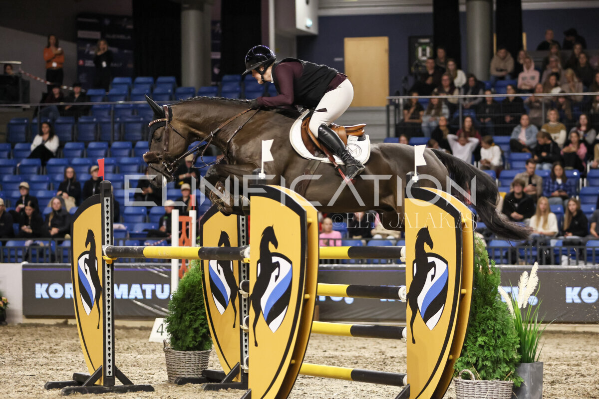 TIHS_2026_Prix-de-Kordumatu_253