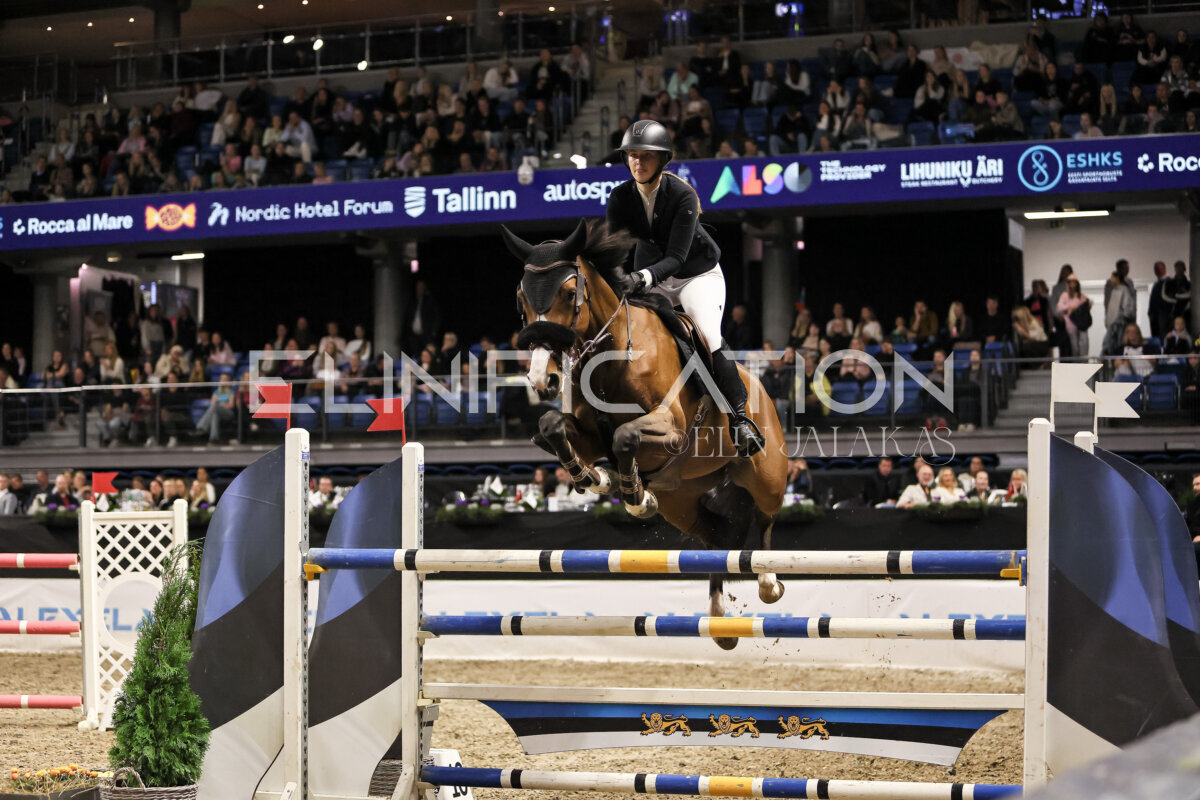 TIHS_2026_Prix-de-Kordumatu_307