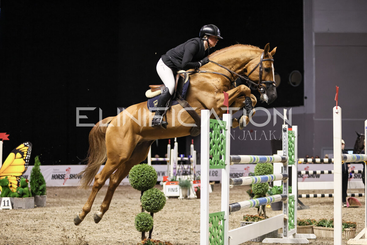 TIHS_2026_Prix-de-Kordumatu_345
