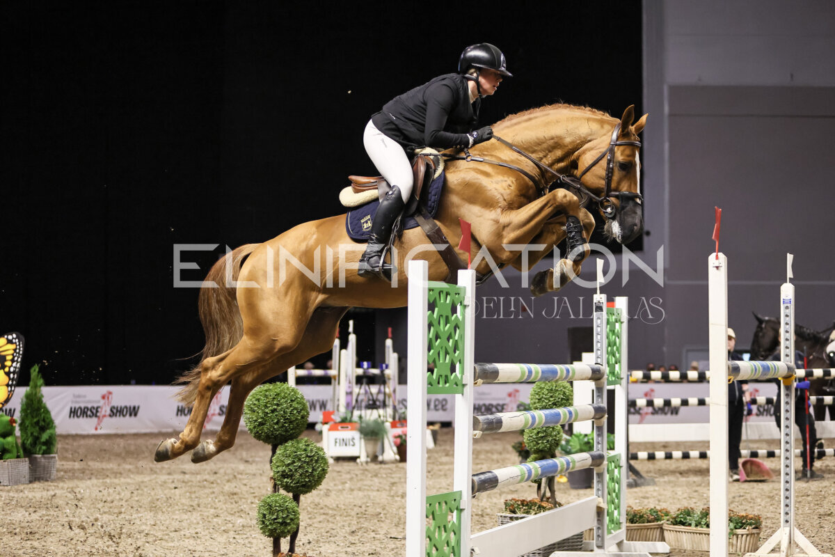 TIHS_2026_Prix-de-Kordumatu_346