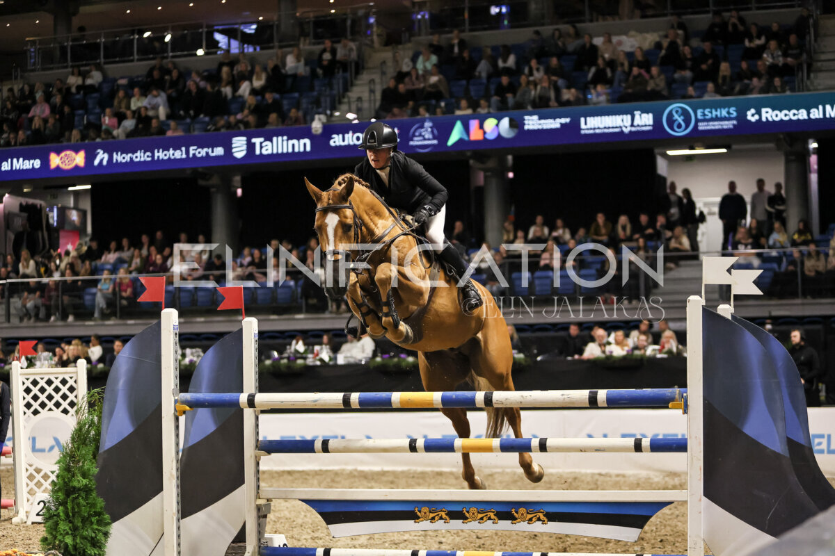 TIHS_2026_Prix-de-Kordumatu_349
