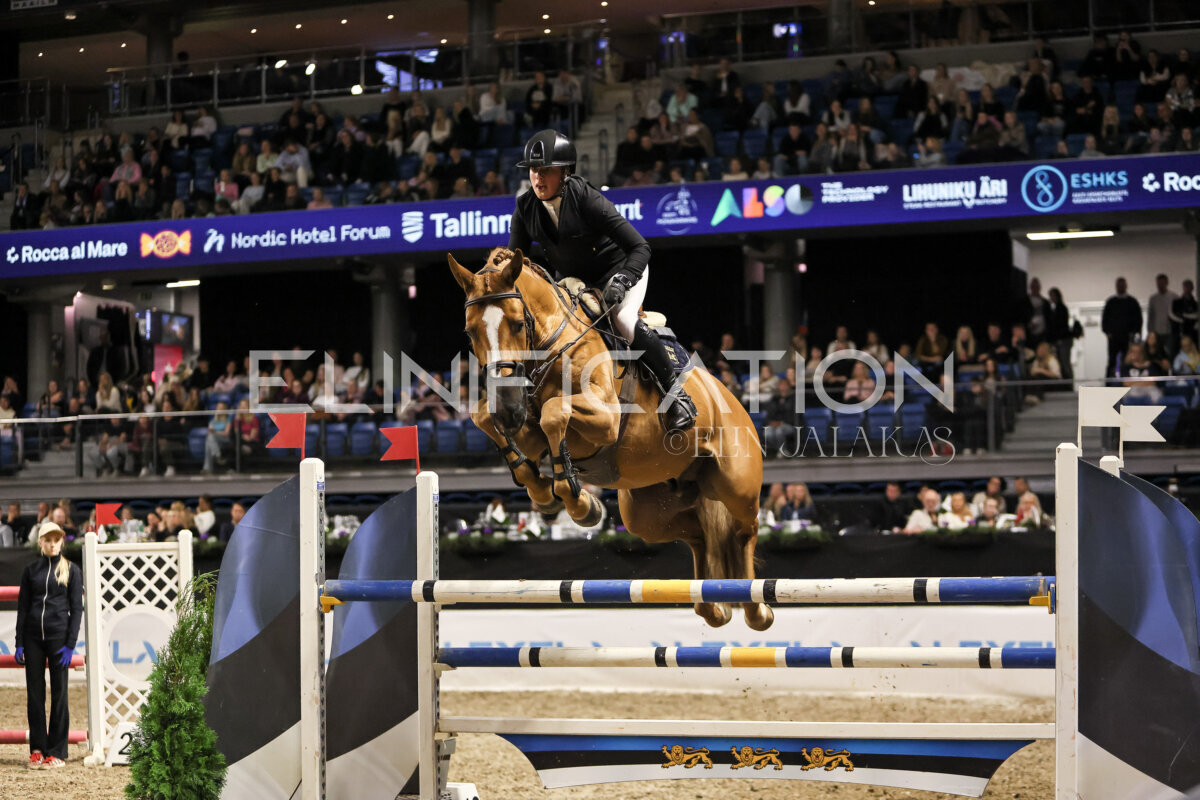 TIHS_2026_Prix-de-Kordumatu_350