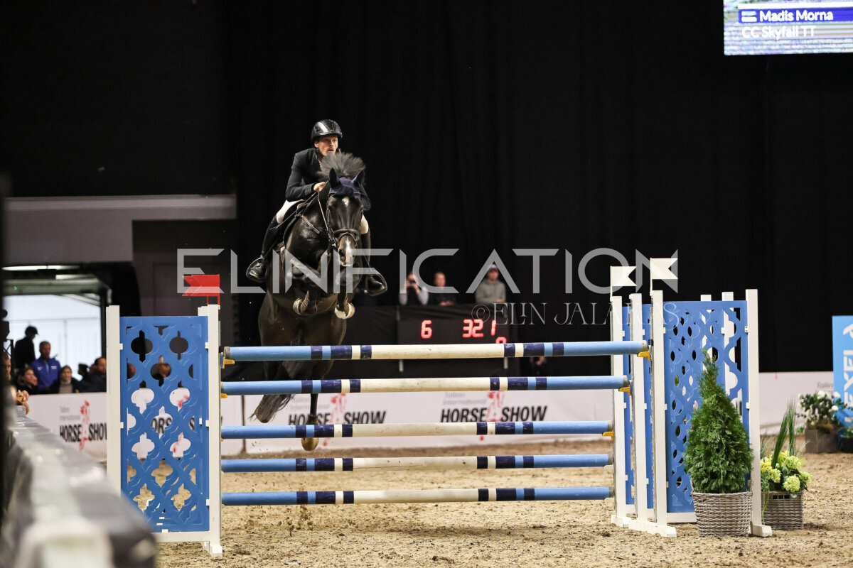 TIHS_2026_Prix-de-Ramirent_028