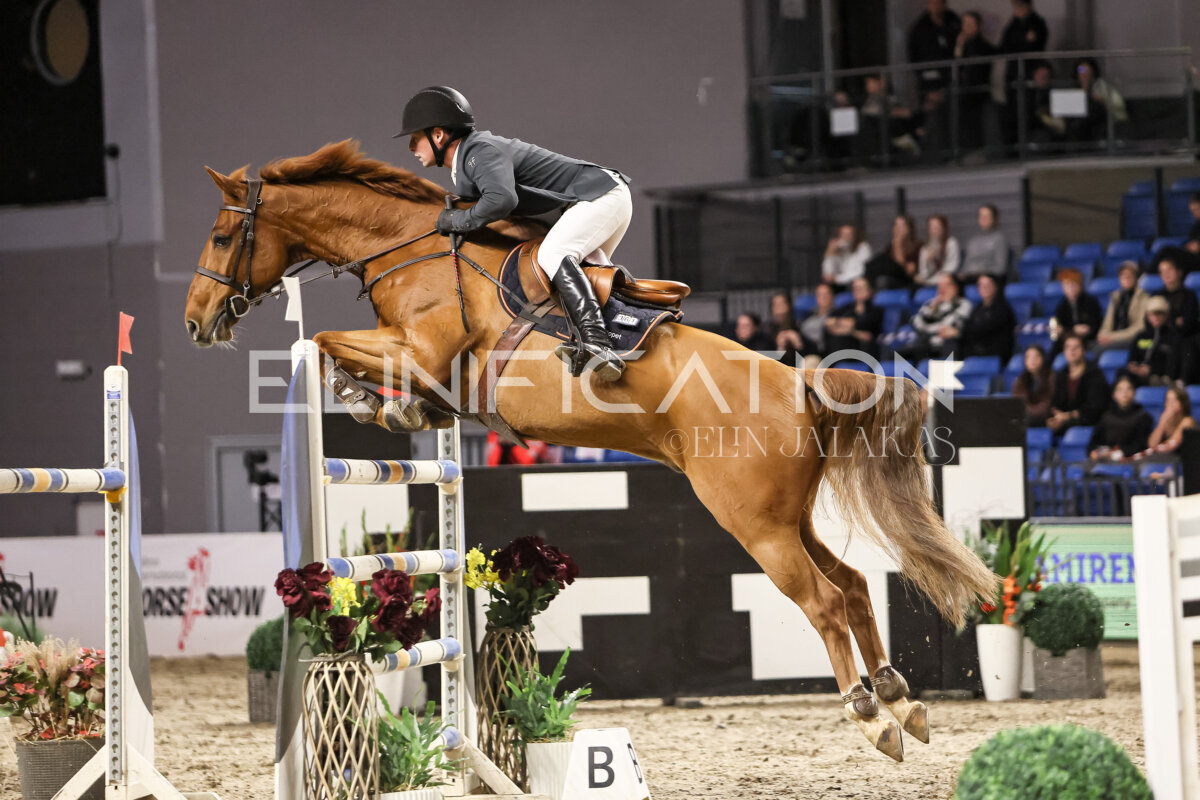 TIHS_2026_Prix-de-Ramirent_035