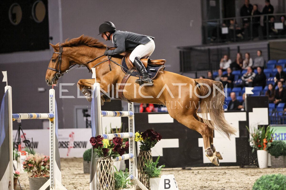 TIHS_2026_Prix-de-Ramirent_036