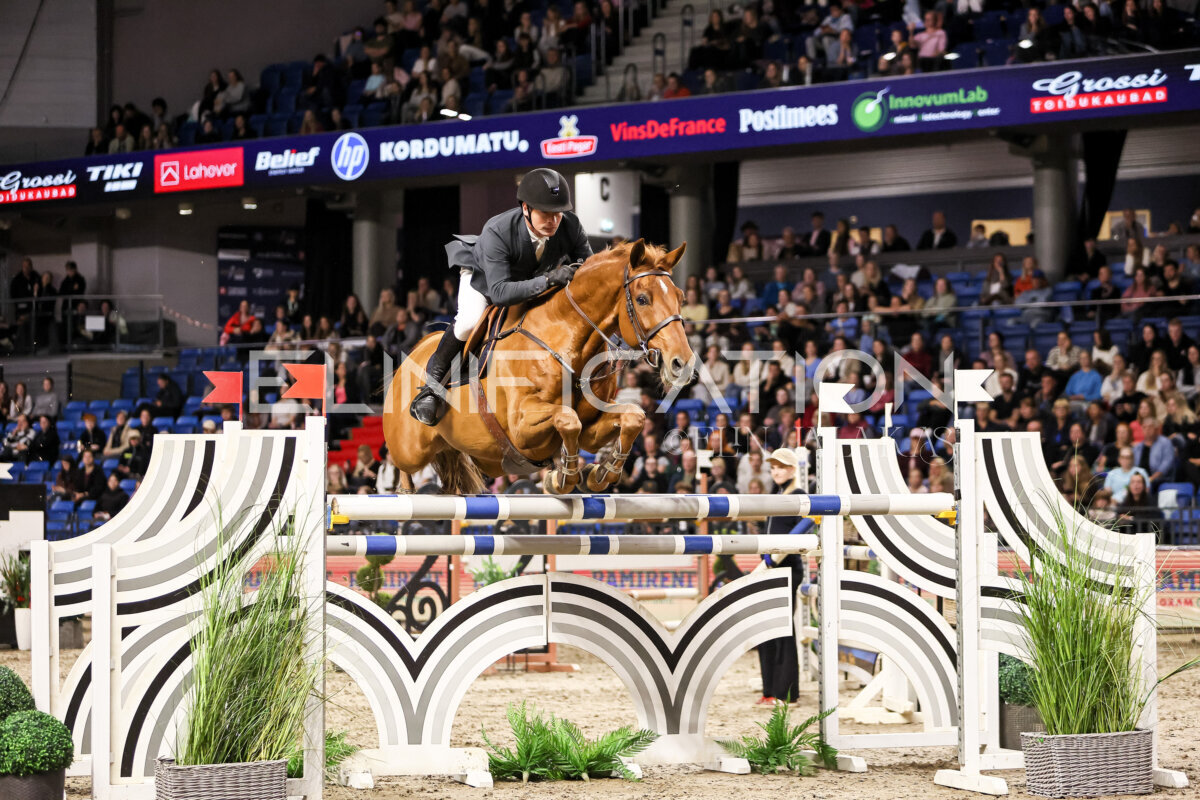TIHS_2026_Prix-de-Ramirent_040