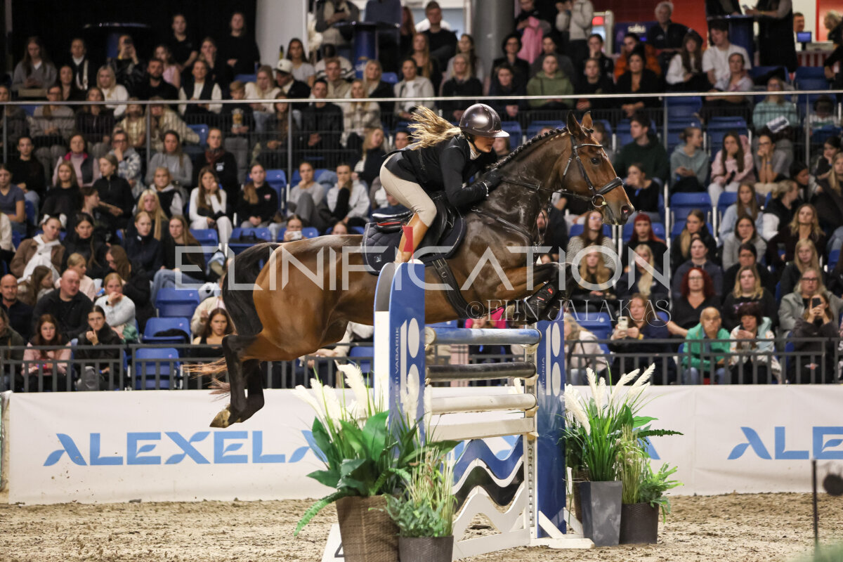 TIHS_2026_Prix-de-Ramirent_042