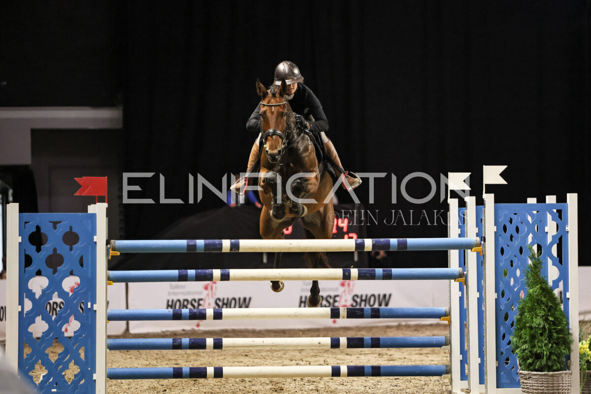 TIHS_2026_Prix-de-Ramirent_044
