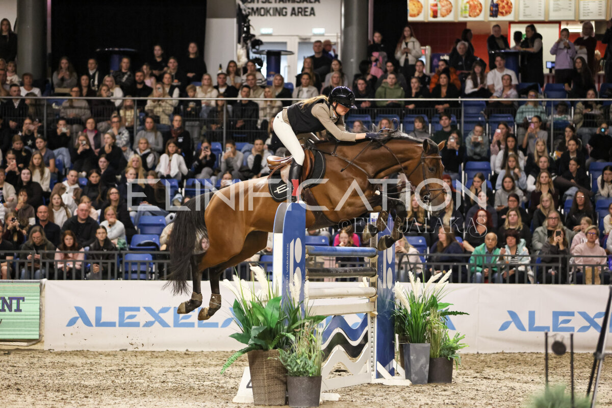 TIHS_2026_Prix-de-Ramirent_047