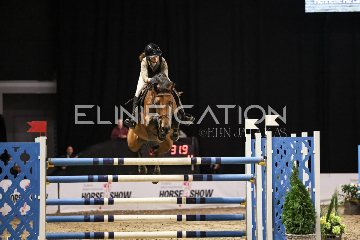 TIHS_2026_Prix-de-Ramirent_050