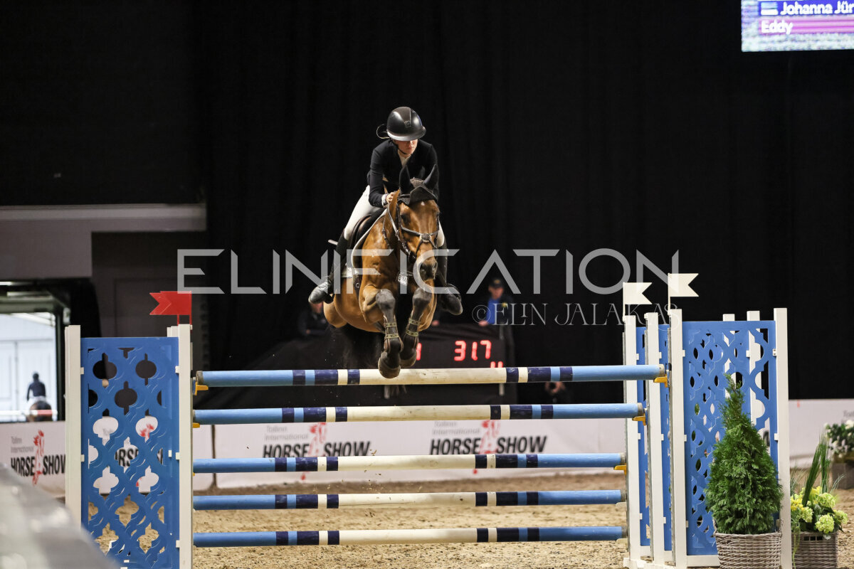 TIHS_2026_Prix-de-Ramirent_082