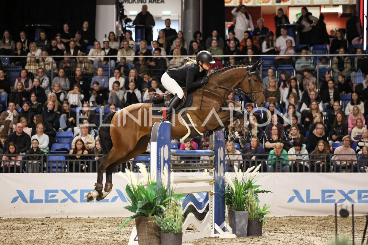 TIHS_2026_Prix-de-Ramirent_090