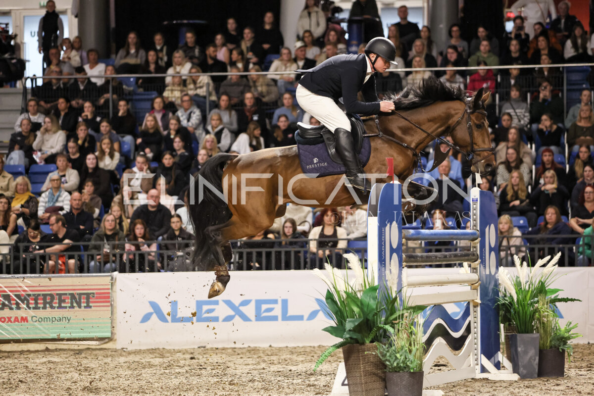 TIHS_2026_Prix-de-Ramirent_107