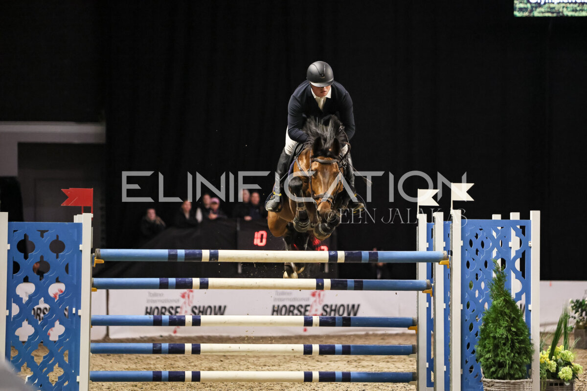 TIHS_2026_Prix-de-Ramirent_110