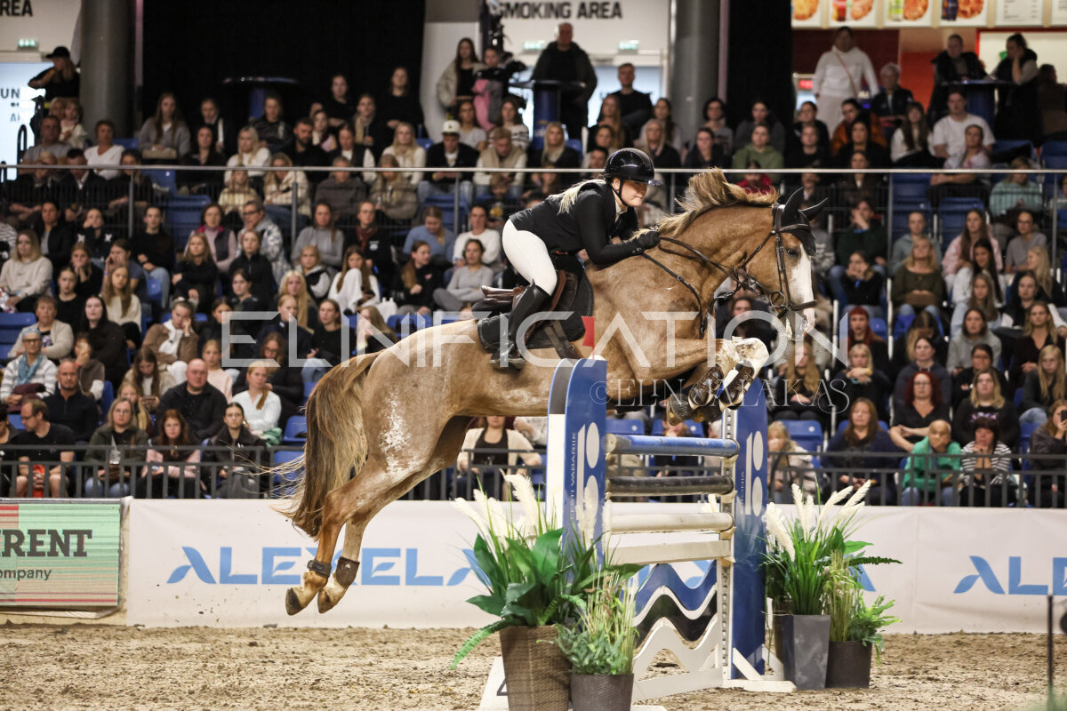 TIHS_2026_Prix-de-Ramirent_117