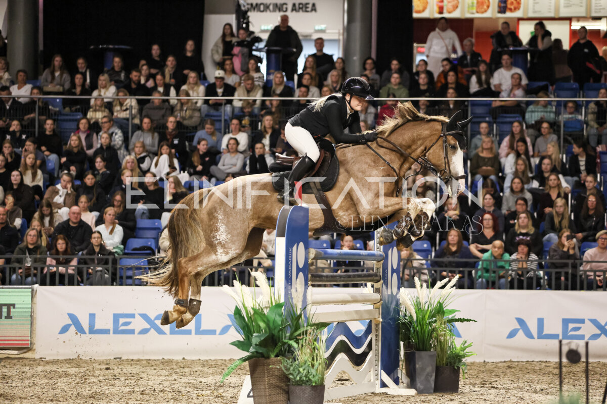 TIHS_2026_Prix-de-Ramirent_118