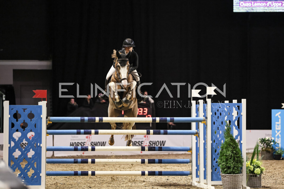 TIHS_2026_Prix-de-Ramirent_121