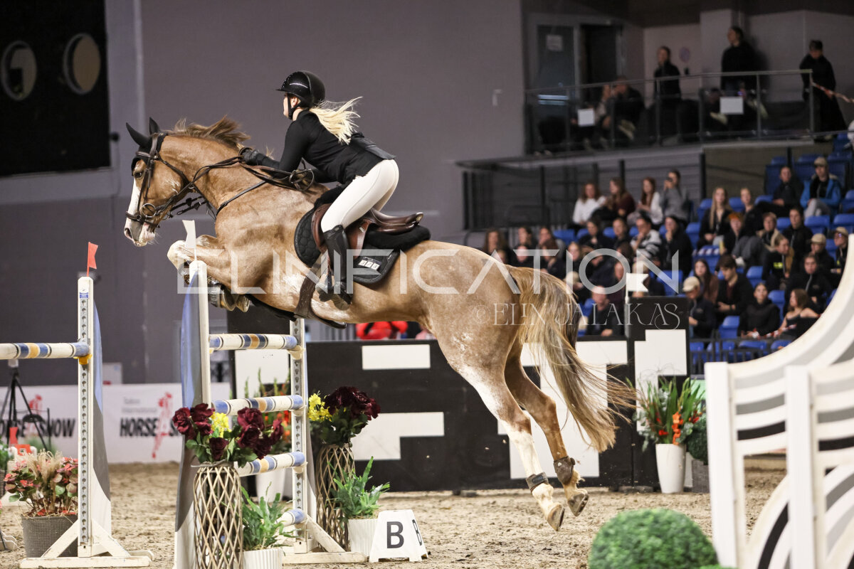 TIHS_2026_Prix-de-Ramirent_123