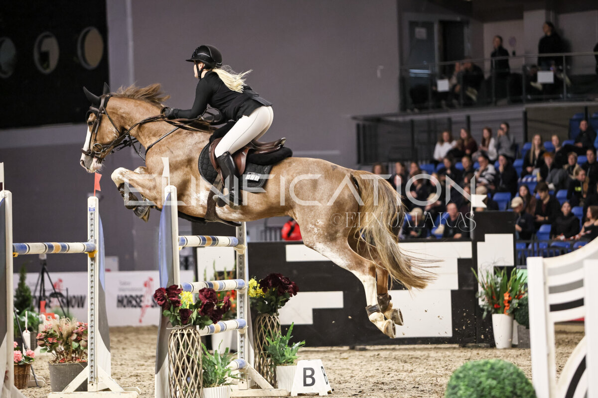 TIHS_2026_Prix-de-Ramirent_124