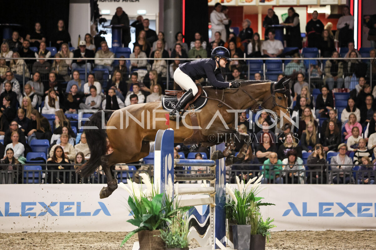 TIHS_2026_Prix-de-Ramirent_170