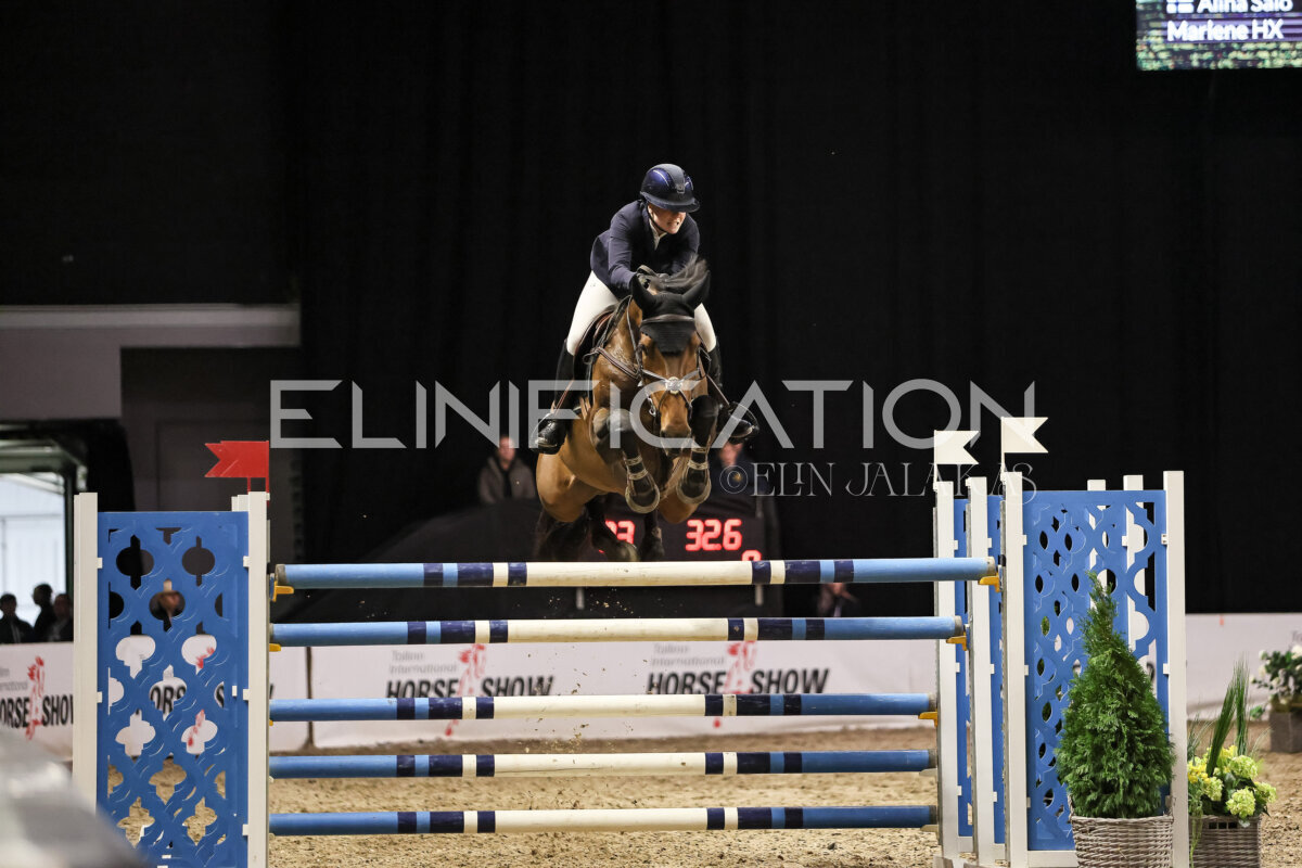 TIHS_2026_Prix-de-Ramirent_173