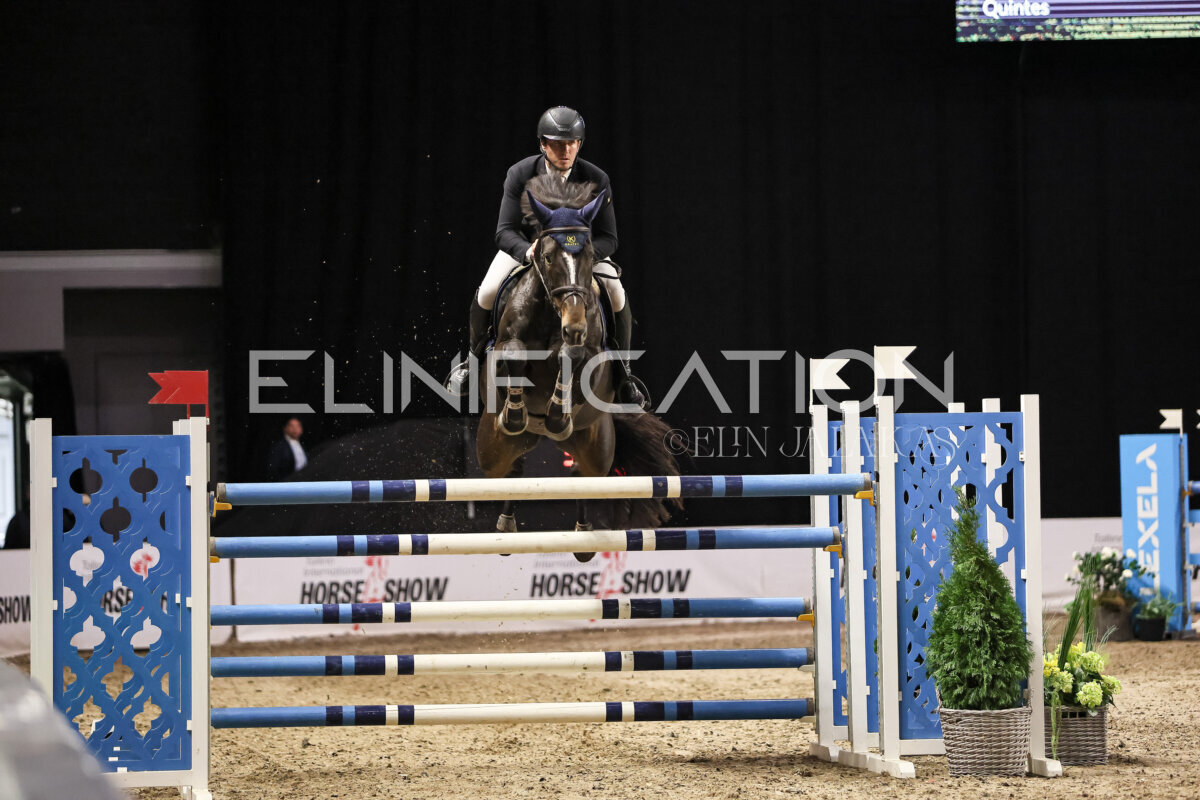 TIHS_2026_Prix-de-Ramirent_197