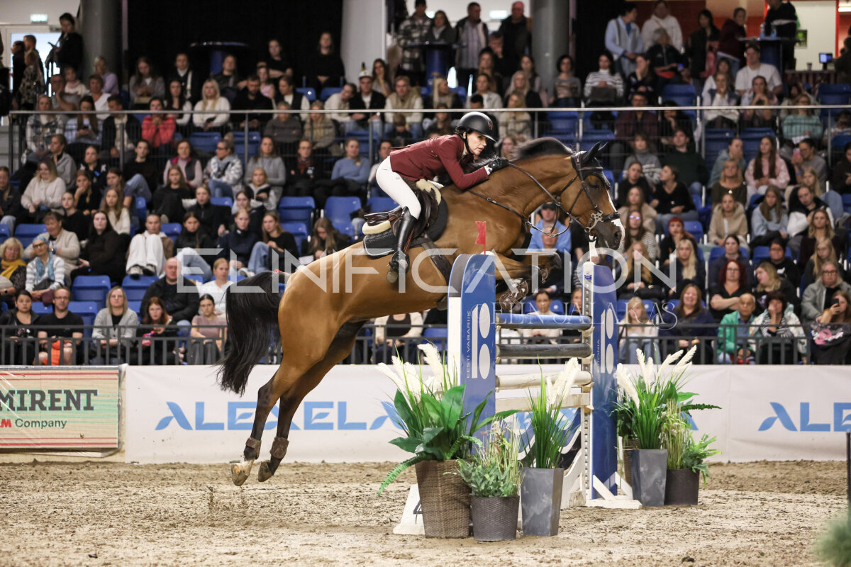 TIHS_2026_Prix-de-Ramirent_244