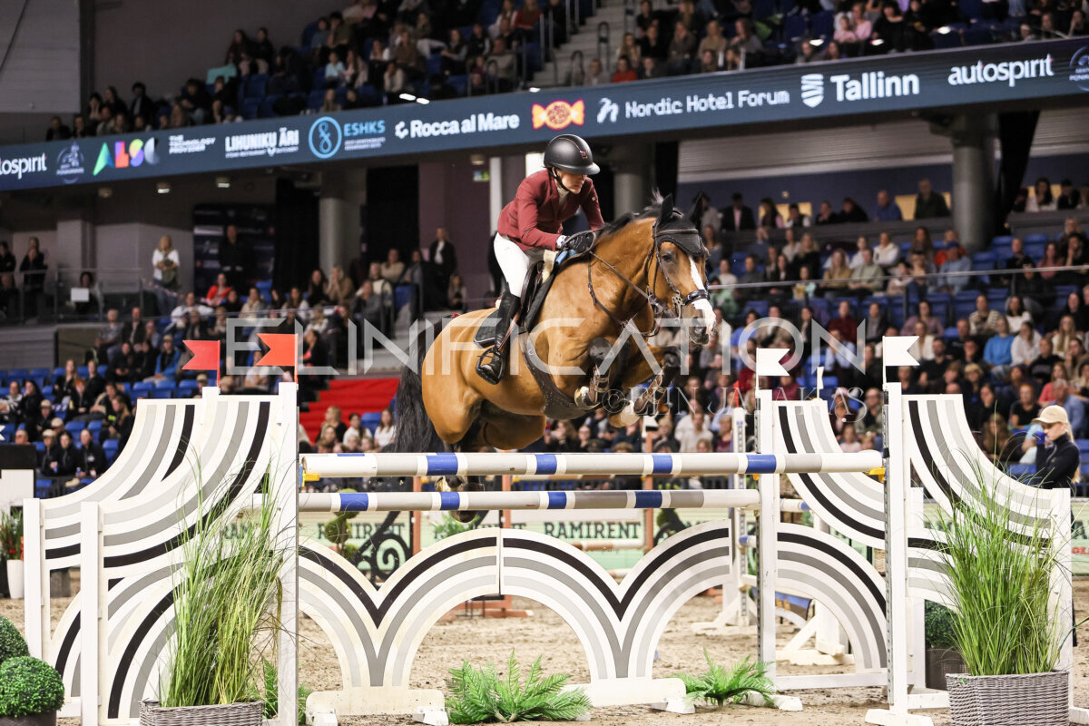 TIHS_2026_Prix-de-Ramirent_251