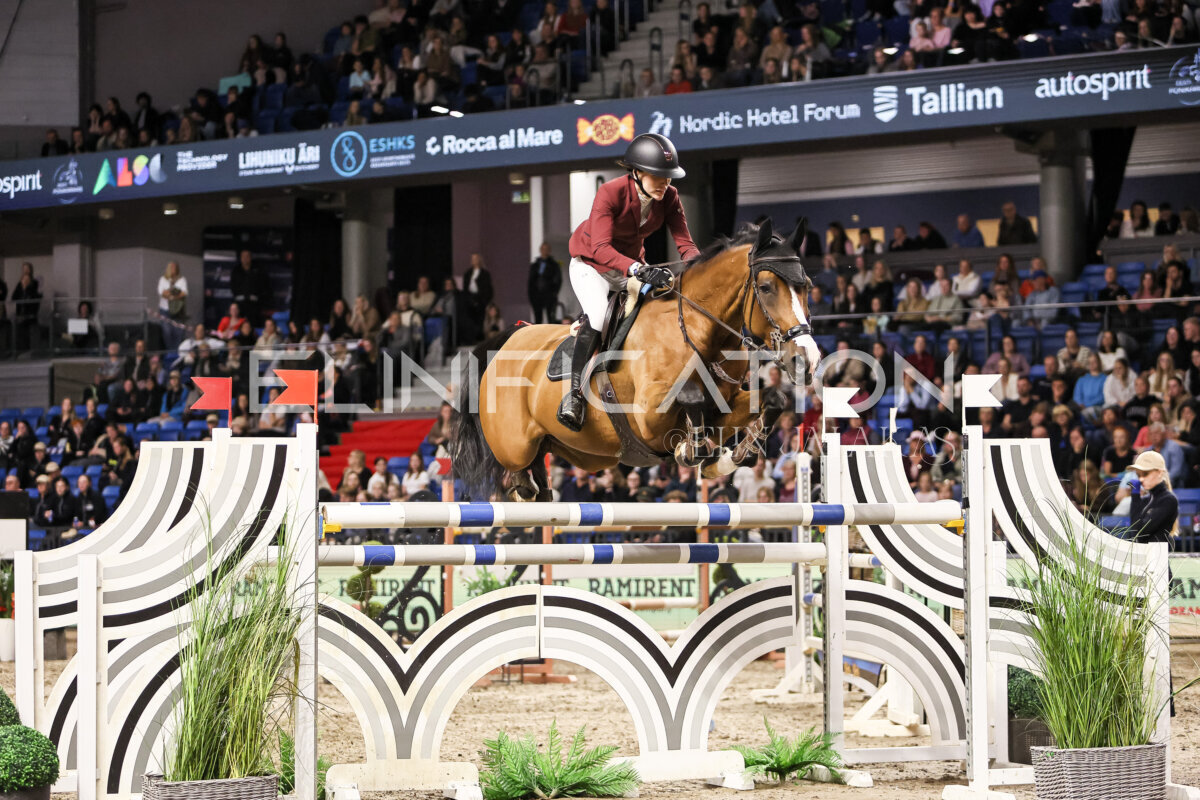 TIHS_2026_Prix-de-Ramirent_252